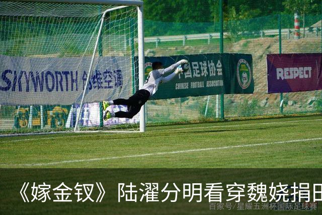《嫁金钗》陆濯分明看穿魏娆捐田散财是在留后路，为什么还救她？